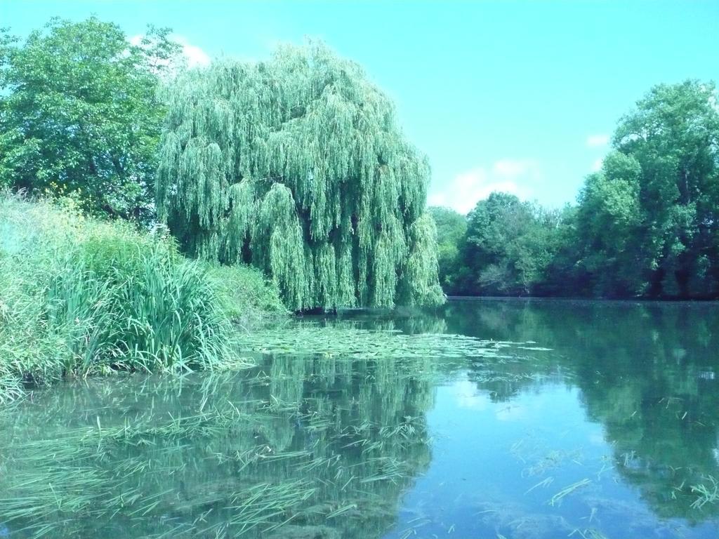Le Havre De Bennecourt Bed and Breakfast Εξωτερικό φωτογραφία
